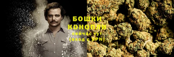 гидропоника Калининец