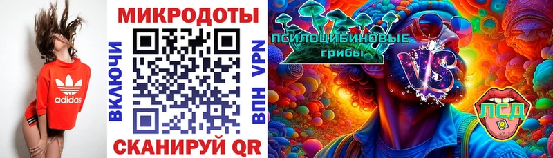 Псилоцибиновые грибы Psilocybine cubensis  Купить закладки  Палласовка 